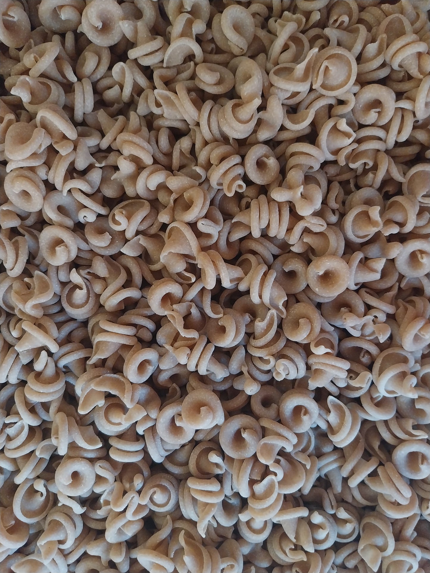 Celozrnné semolinové trotolle 400g