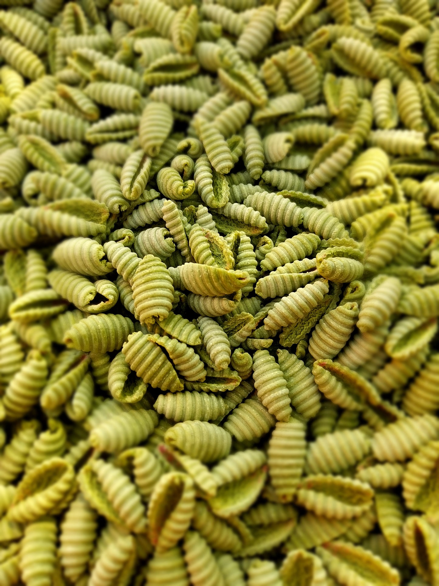 Semolinové Mušle špenátové  400g